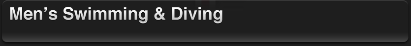  Men's Swim & Dive Icon 